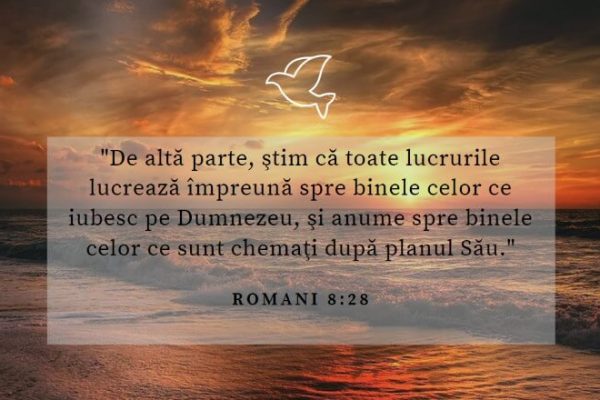 Romani 8 28